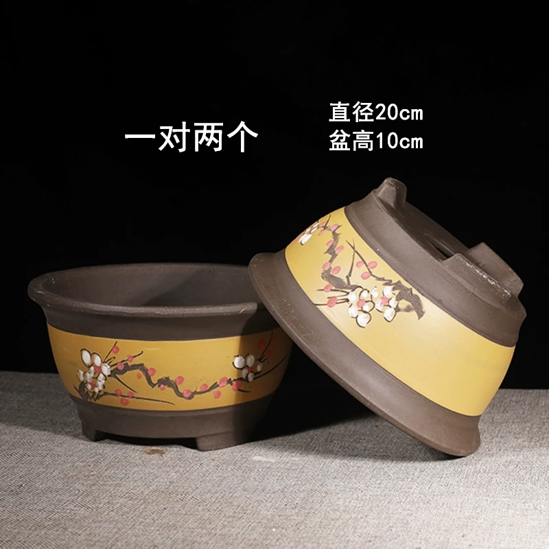 Z73号黄色富贵点彩小号一对紫砂花盆君子兰花盆栽花卉陶瓷盆景盆