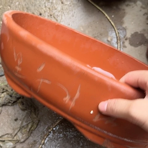 红陶20CM（含）-50CM（不含）红色椭圆大