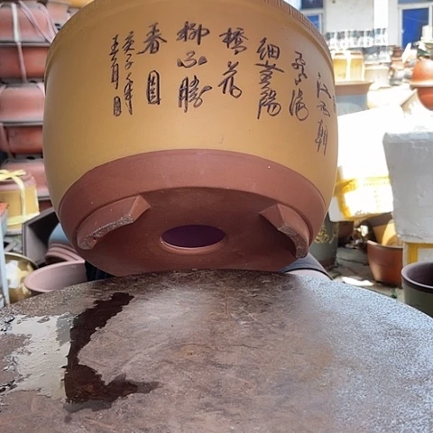 紫砂20CM（含）-50CM（不含）