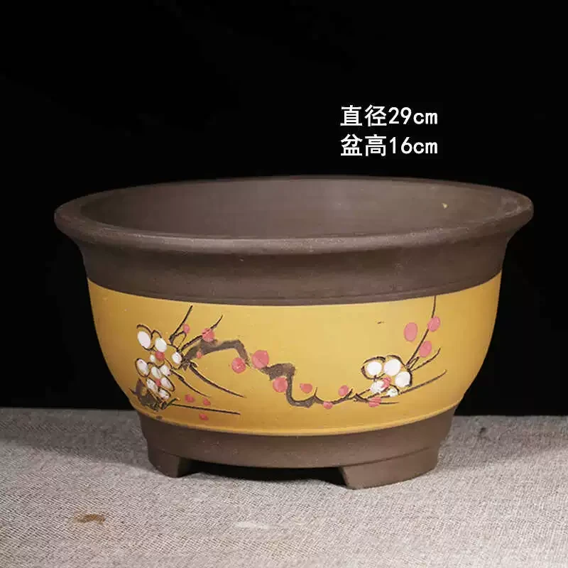 Z71号黄富贵点彩大紫砂花盆君子兰花盆栽花卉陶瓷盆景盆发财