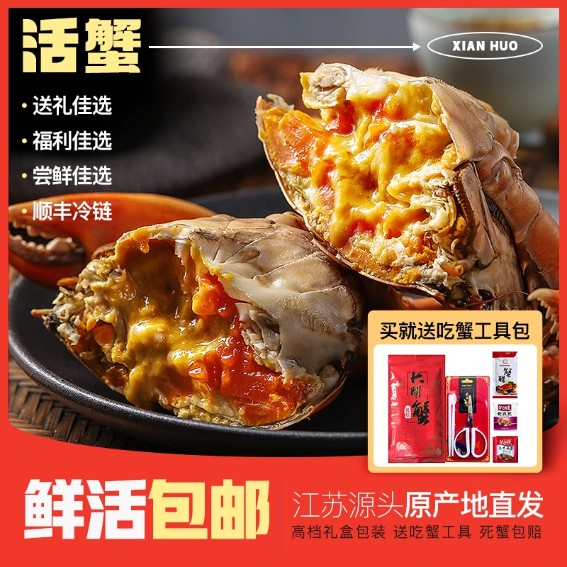 【活蟹现发】一湖一蟹全母2.5两10只甄选苏州精品大闸蟹礼盒装 WG