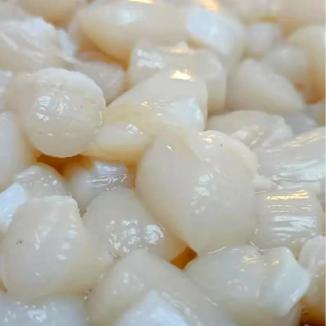 长海县原浆扇贝丁海湾丁