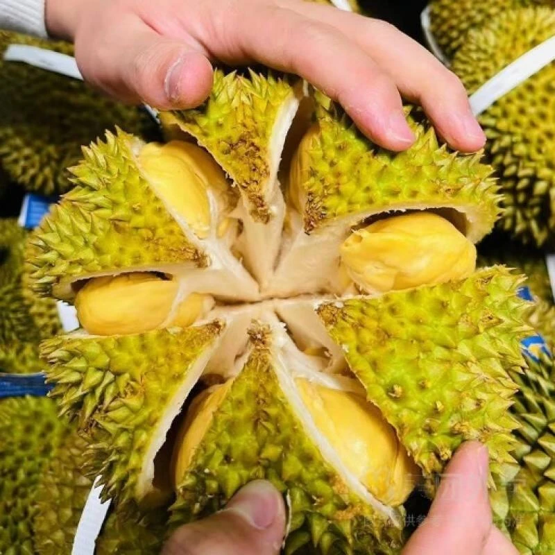 泰国树熟金枕榴莲 软糯香甜 约2.5kg/个