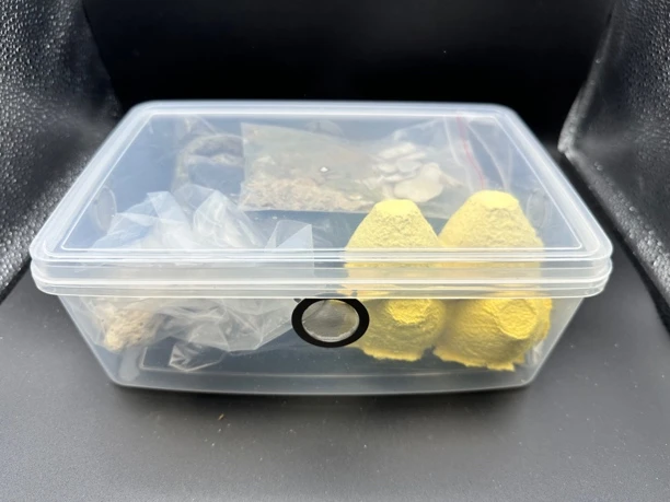 KK鼠妇饲养盒套装