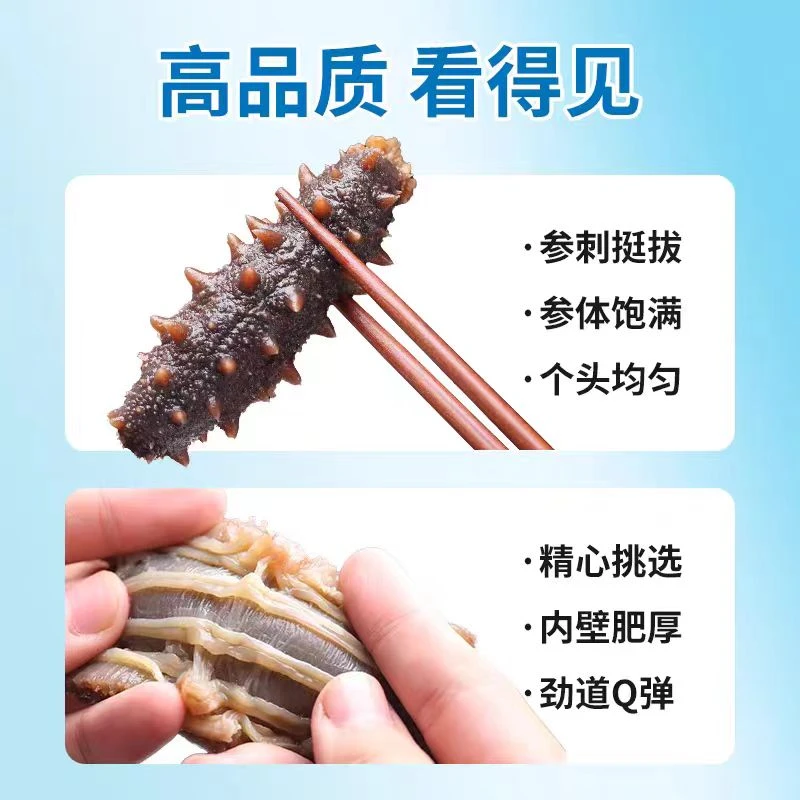 【即食海参】初啸10-12头一斤6-8头一斤深海海参口感劲道