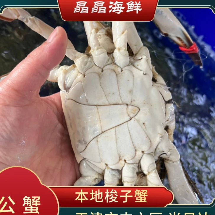 【保鲜不保活】断氧公蟹长齐3-5斤（单只3两左右） 辣炒长齐梭子蟹