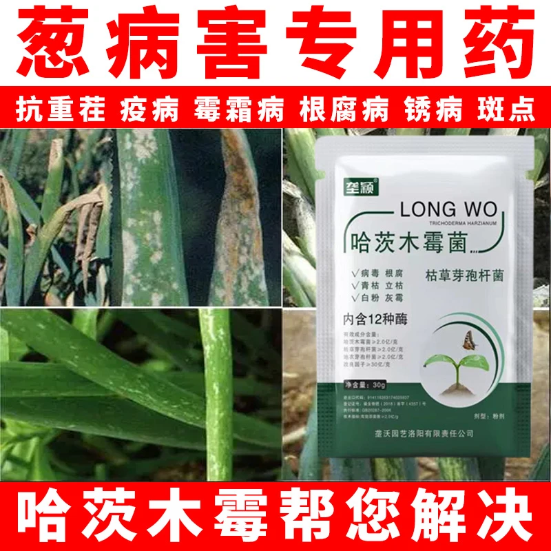 大小葱专用药葱干尖炭疽黄叶根腐霜霉灰霉黑斑病专用药水溶叶面肥
