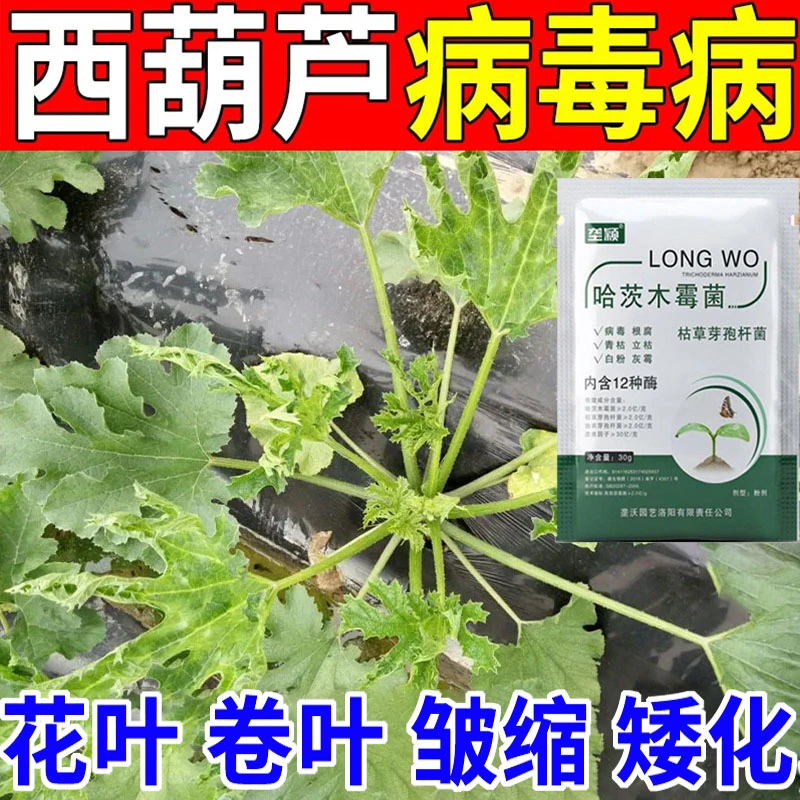 西葫芦专用肥料角瓜病病毒病白毛病灰霉病白粉病花叶病通用叶面肥