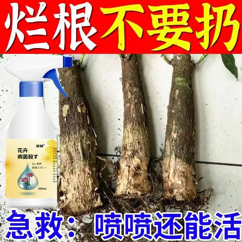 发财树烂根专用营养液快速生根急救烂根黄叶掉叶枯萎叶斑病营养肥