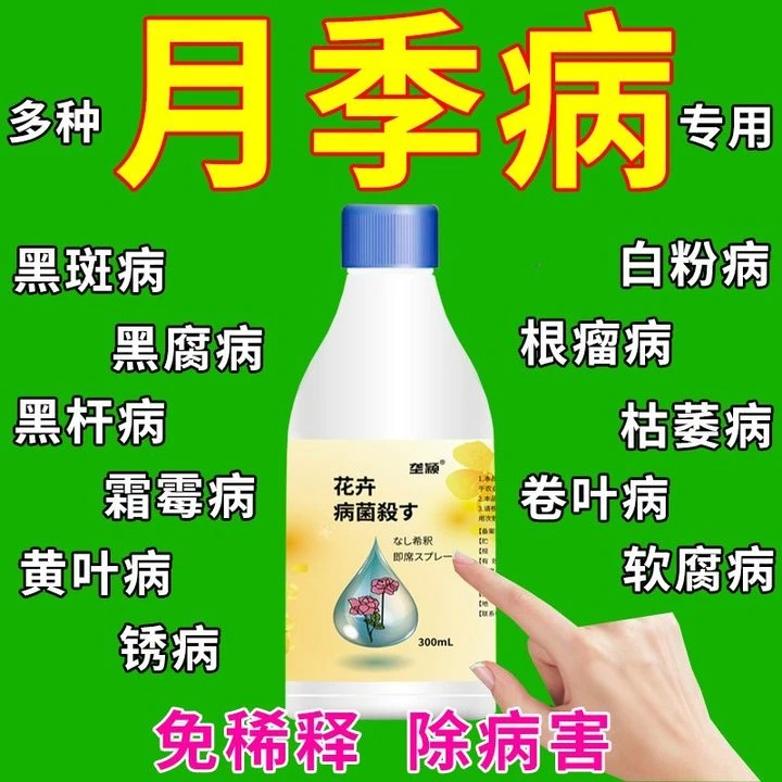 月季花专用肥料除菌剂黄叶枯萎白粉病叶斑病炭疽病通用型营养液