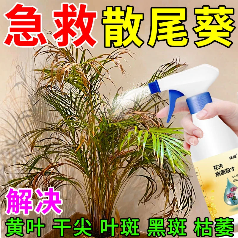 【直接喷】急救散尾葵黄叶干焦烂根专用营养液家庭园艺四季花肥黑斑