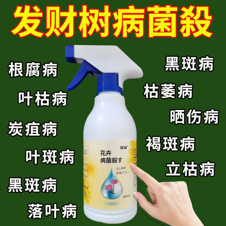 发财树营养液专用除菌剂黄叶落叶根腐病黑斑病叶枯病炭疽病肥料