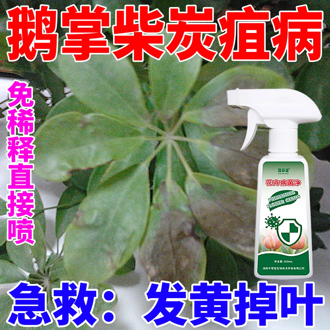 鹅掌柴炭疽灰霉病抑菌剂绿植花卉专用营养液急救掉叶发黄发黑枯萎