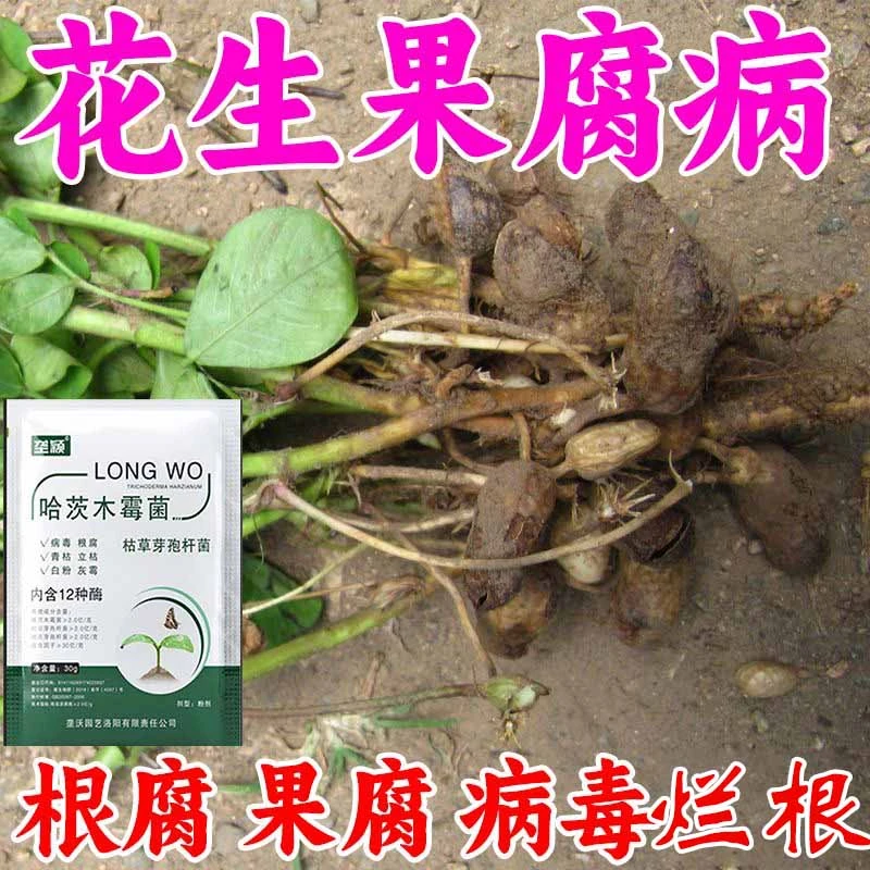 花生果腐病专用急救掉叶卷叶黄叶死苗烂根增产丰收水溶叶面型肥料