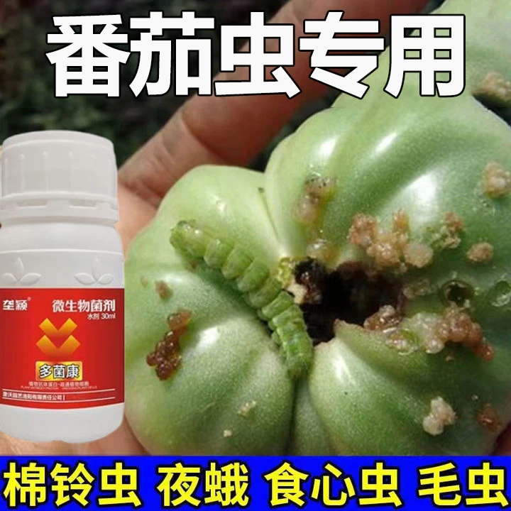 番茄病虫害专用番茄病菌清打虫食心虫棉铃虫灰霉炭疽西红柿叶面肥