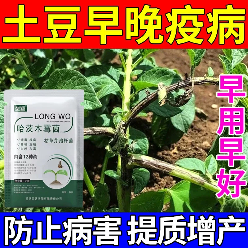 马铃薯晚疫病专用土豆干腐病黑茎病溃疡病立枯病微生物菌剂叶面肥