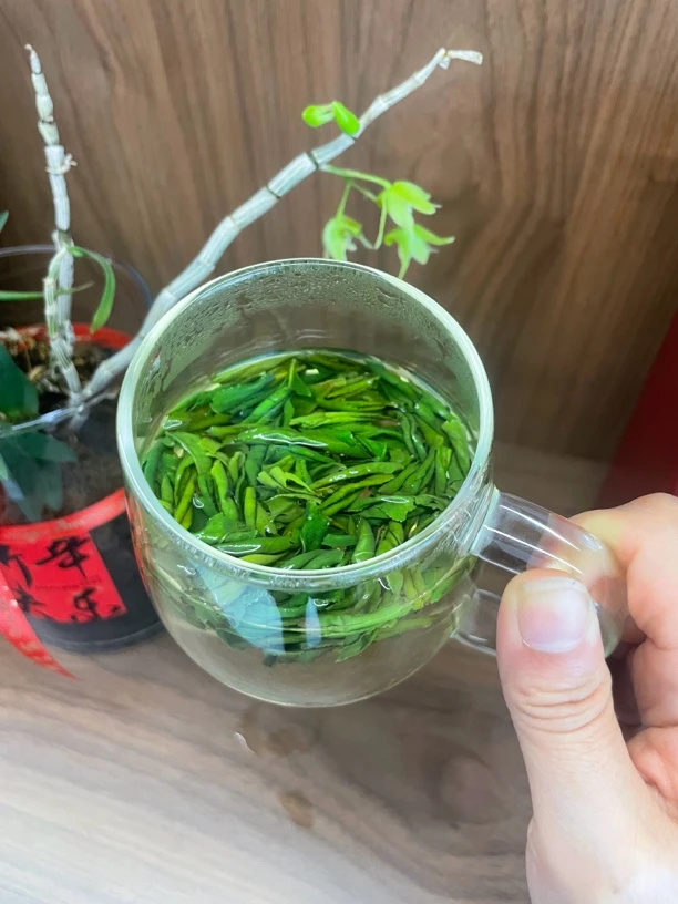 将山源新茶六安瓜片绿茶核心产区
