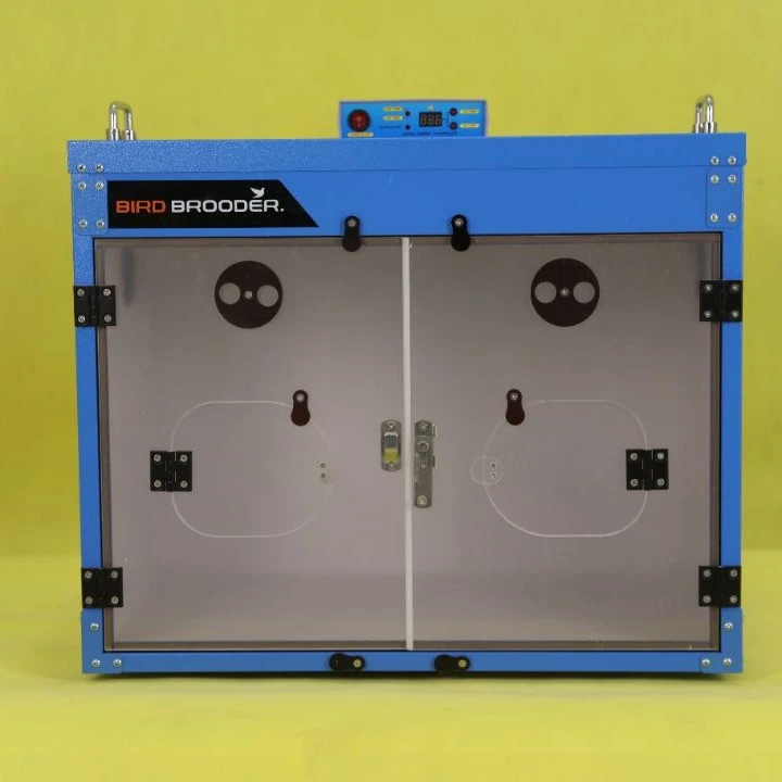全自动控温(大号)保温箱AODL泰黑鸡温控系统鹦鹉鸽等鸟禽育雏专用