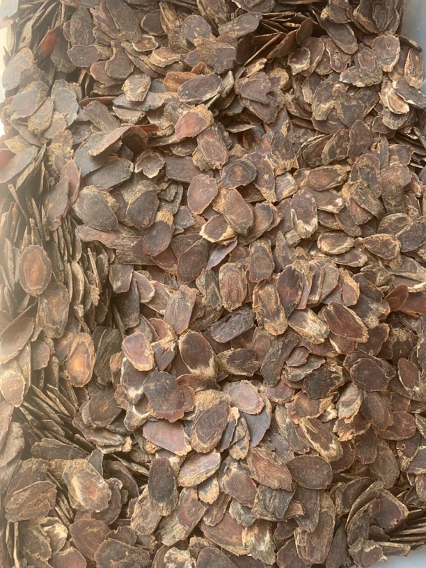 无糖高丽参片，参香味浓郁