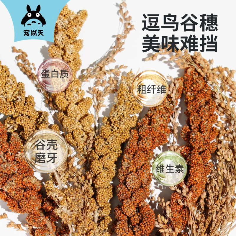 宠尚天鹦鹉谷穗磨牙带壳黄谷子小米麦穗玄凤虎皮饲料鸟粮鸟零食