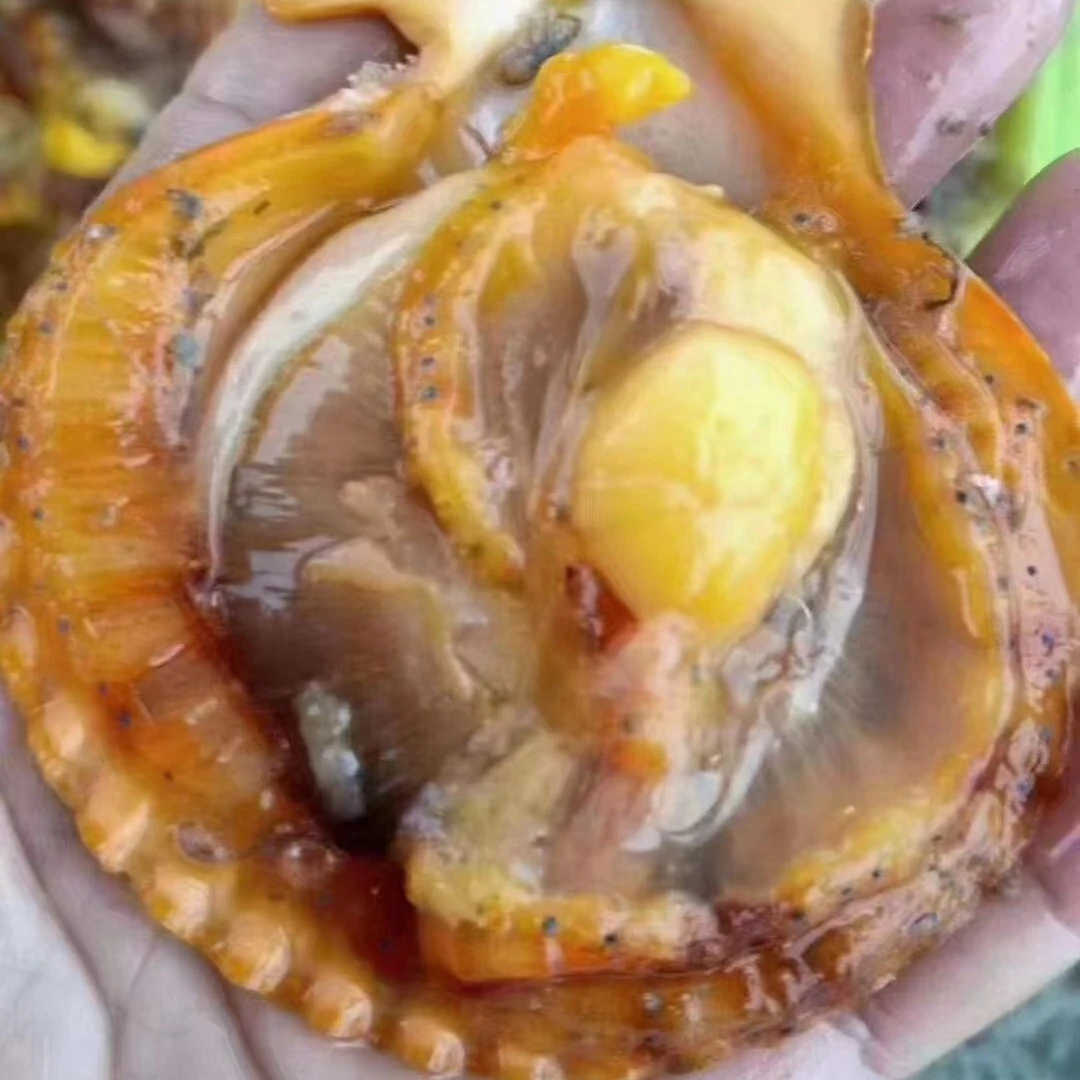 湛江本地大红贝瑶柱 煲汤清甜可口 煲粥鲜香滑嫩500g