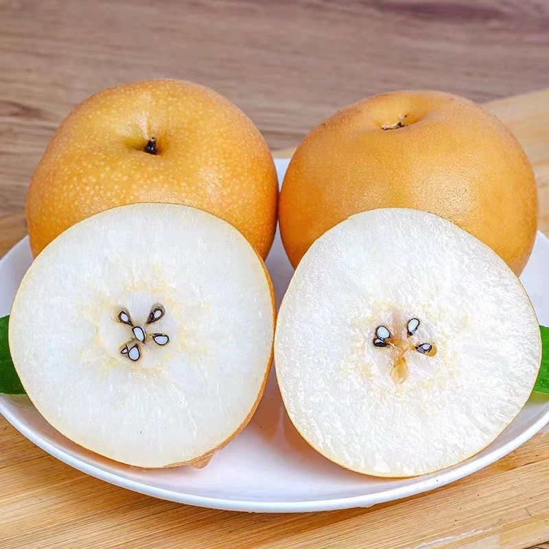 当季正宗新鲜秋月梨5斤装 皮薄肉厚清香爽口香甜爆汁