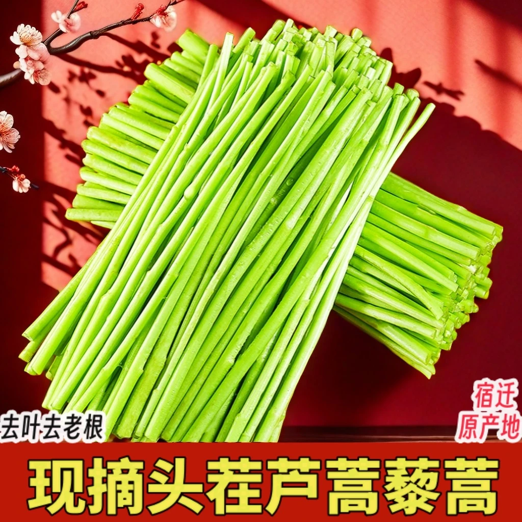 新鲜蔬菜现采现发芦蒿黎蒿藜蒿杆子柳蒿芽炒腊肉野菜泥蒿脆嫩爽口