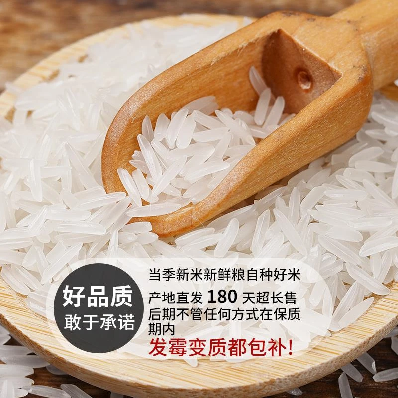 【厂家直售】装大米批发商用猫牙米年长粒香米籼米煲仔饭笋1g