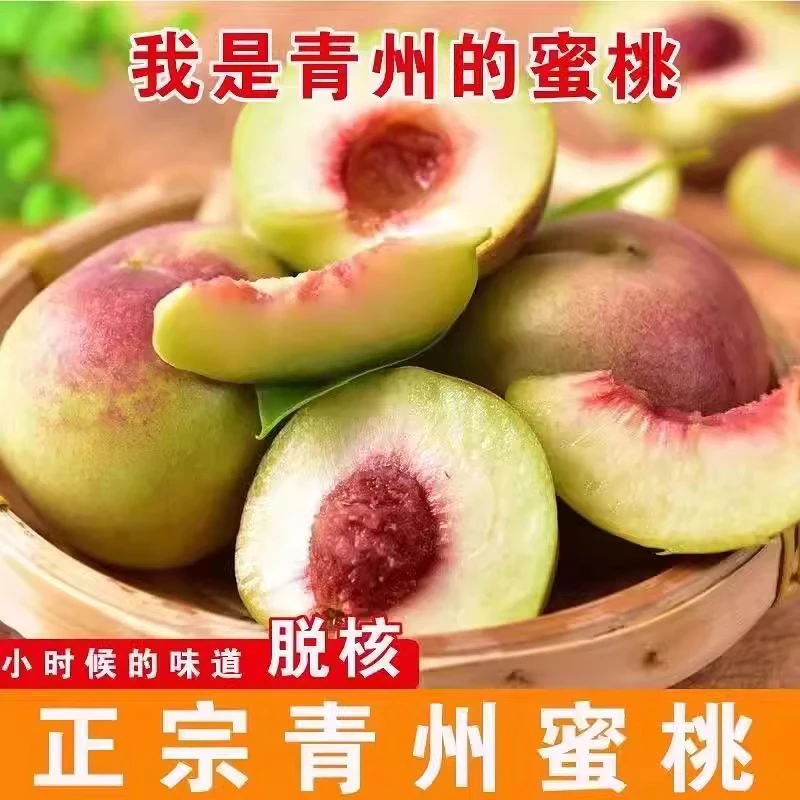 山东青州蜜桃离核桃子新鲜脆桃毛桃甜桃青桃硬桃孕妇水果冬雪冬桃