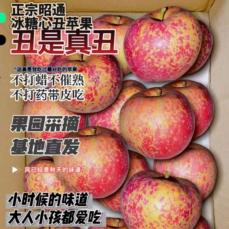 昭通冰糖心丑苹果新鲜脆甜水果农家种植现摘现发多汁5/10斤包邮