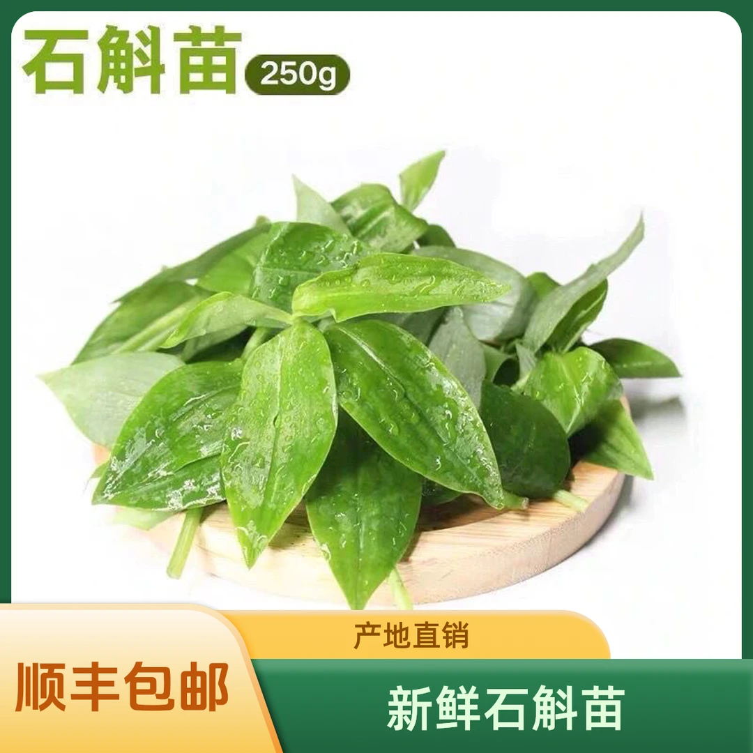 广西野菜特色菜细茎石斛苗新鲜自然生长养生烫炒美味当天采摘顺丰
