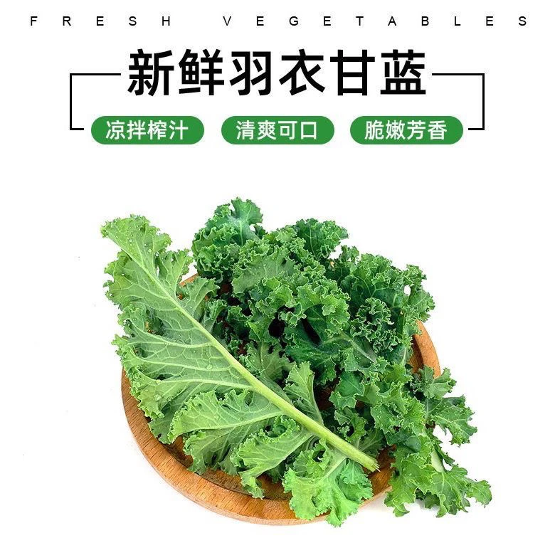 顺丰新鲜羽衣甘蓝 嫩叶芥蓝菜蔬菜 kale沙拉食材 榨汁绿甘蓝500g