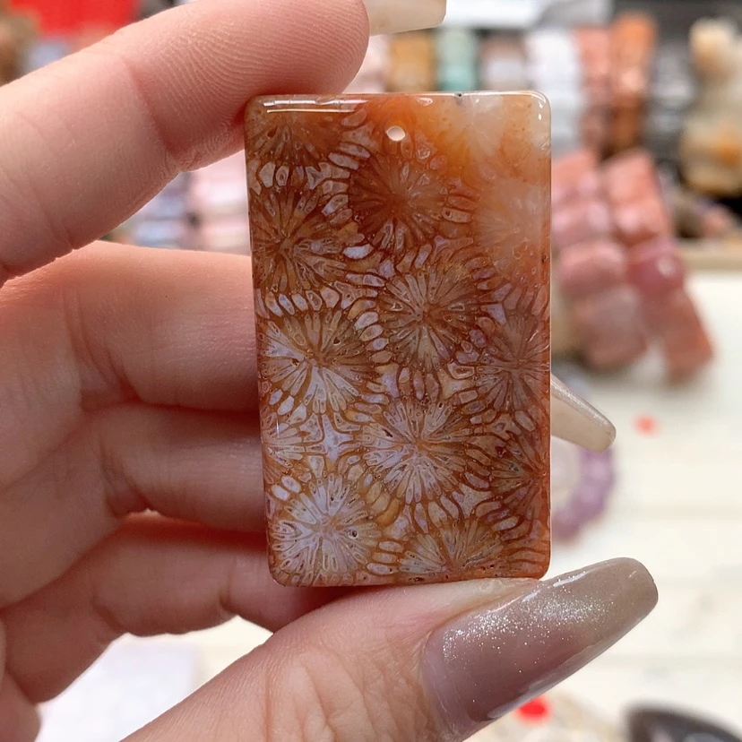 【闪购商品】硅化珊瑚（珊瑚玉）手链未镶嵌217