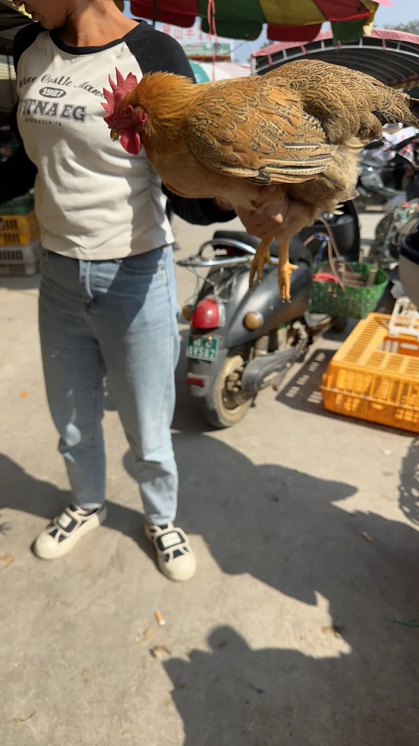 灵山土鸡烧烤食材