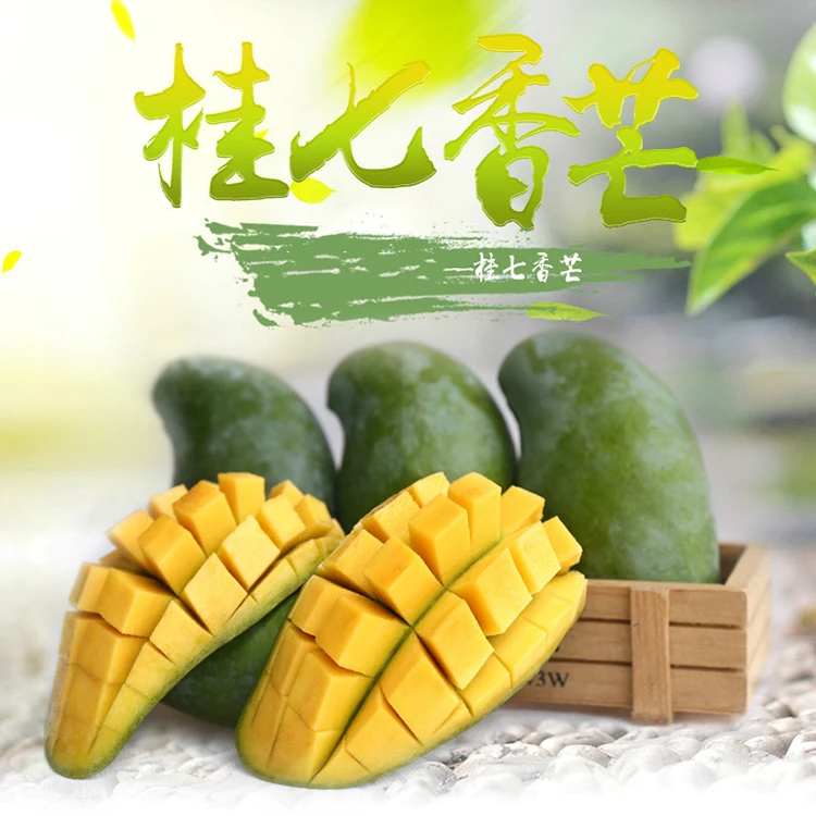 百色田东桂七香芒10斤