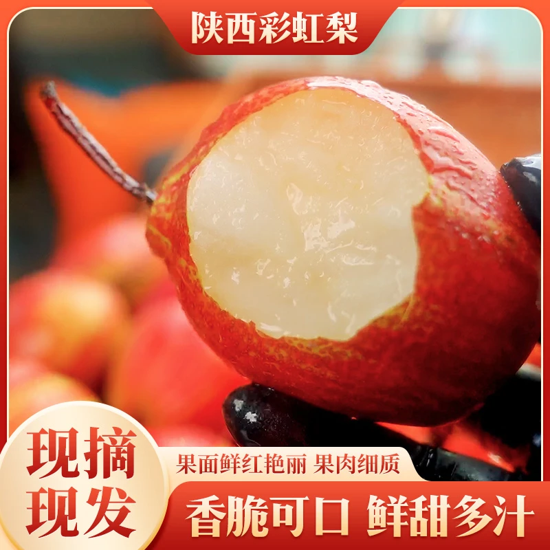 【产地直发】彩虹梨新鲜酥香梨子脆甜多汁现摘水果红香蜜梨5斤起