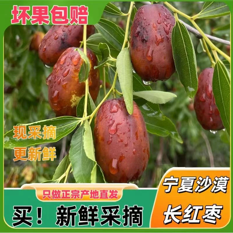 【大果礼盒装】脆甜灵武大长枣脆甜可口现摘现发灵武长枣现摘现发