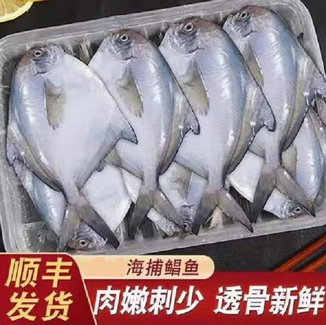 白鲳鱼直播现称【①】直播间称重商品为准 包鲜/不包活