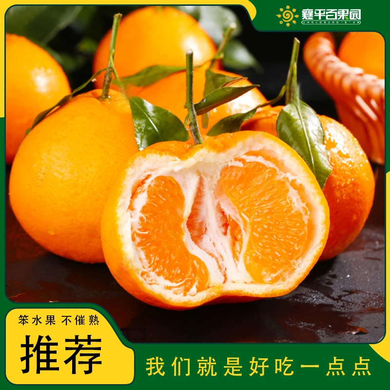 【好吃一点】香甜细嫩爆汁 四川春见粑粑柑丑橘约4个 约1000g