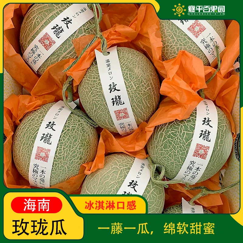 【店长推荐】玫珑瓜整果哈密瓜 约3±0.1斤/不切盒
