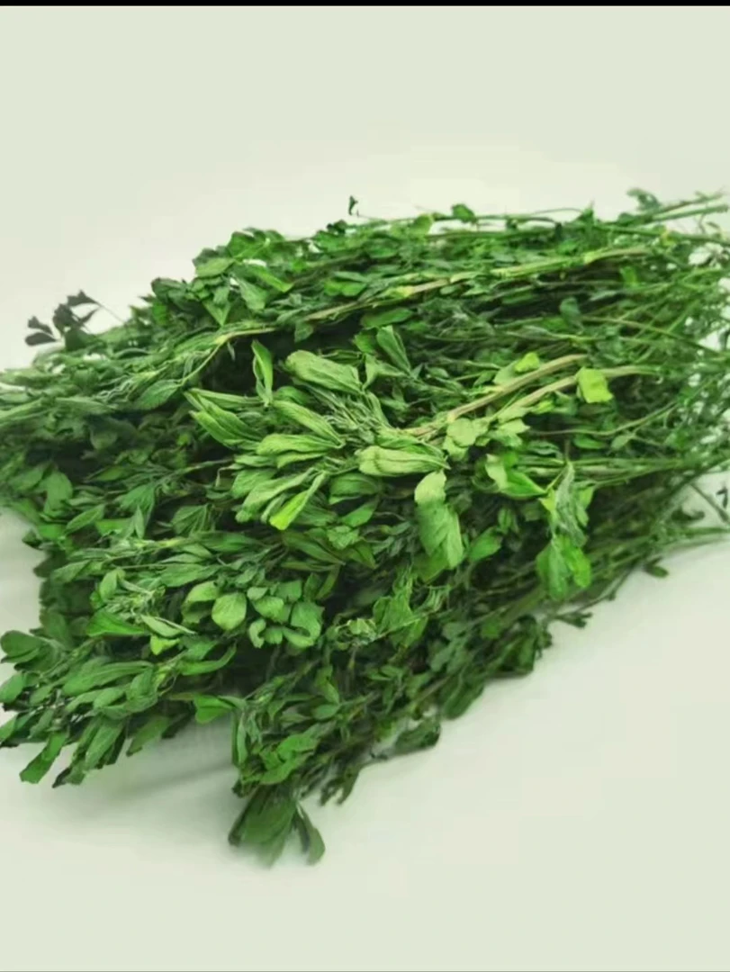 新烘干苜蓿草宠物兔龙猫食用干草饲料叶多1000克 包邮兔子用品