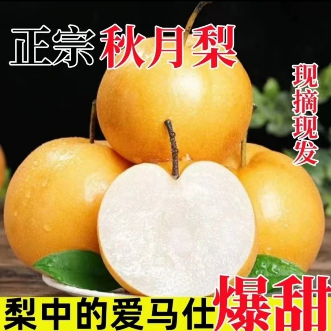 【坏果包赔】正宗秋月梨脆甜无渣细腻甘甜多汁应季水果爆汁源现摘