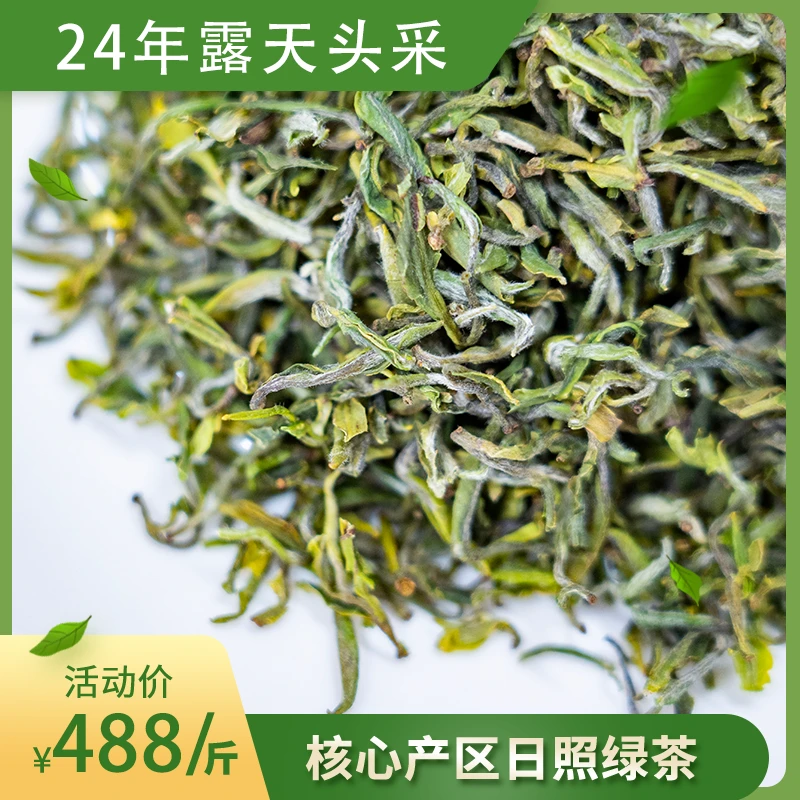 2024新茶日照绿茶 露天头采日照春茶清香豌豆鲜 茶叶罐装A19
