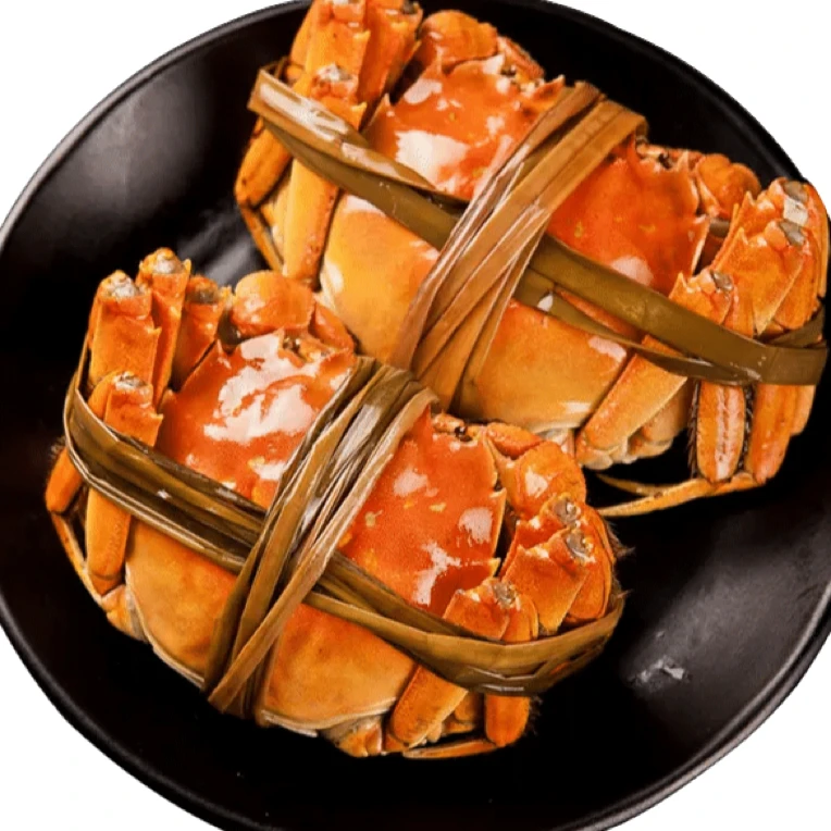 活蟹9指 母2.3~2.6两 10只 鲜活大闸蟹