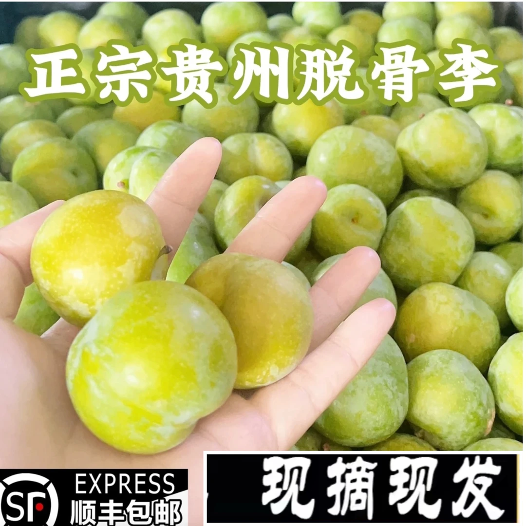 现摘现发采摘四月李子脱骨李孕妇新鲜水果应季酸甜清脆空心李子