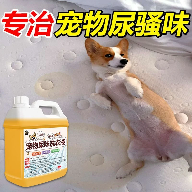 宠物尿味专用洗衣液猫尿味猫窝睡垫除臭剂尿渍分解床单尿渍清洗剂