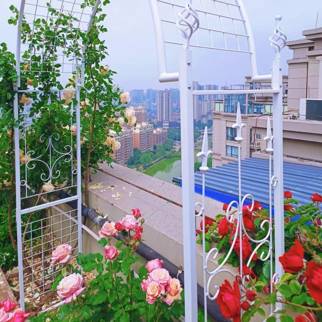 铁艺拱门花架欧式爬藤架子户外庭院花园花架鲜花月季园艺支架黑白