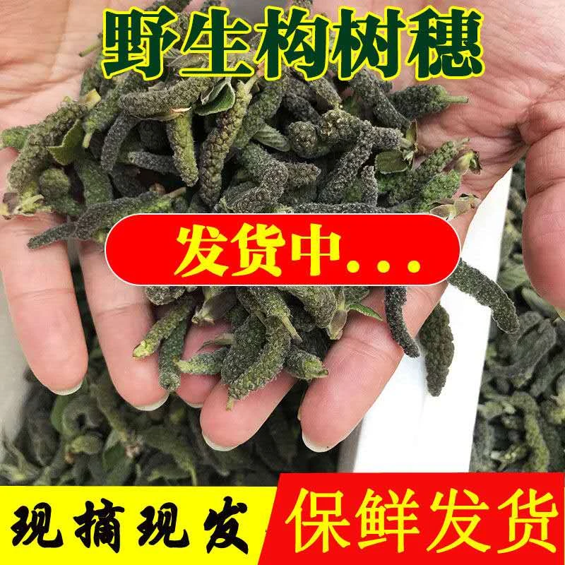 现摘河南构树穗构树花新鲜构蒲穗天然野生楮树穗1斤2斤3斤野菜