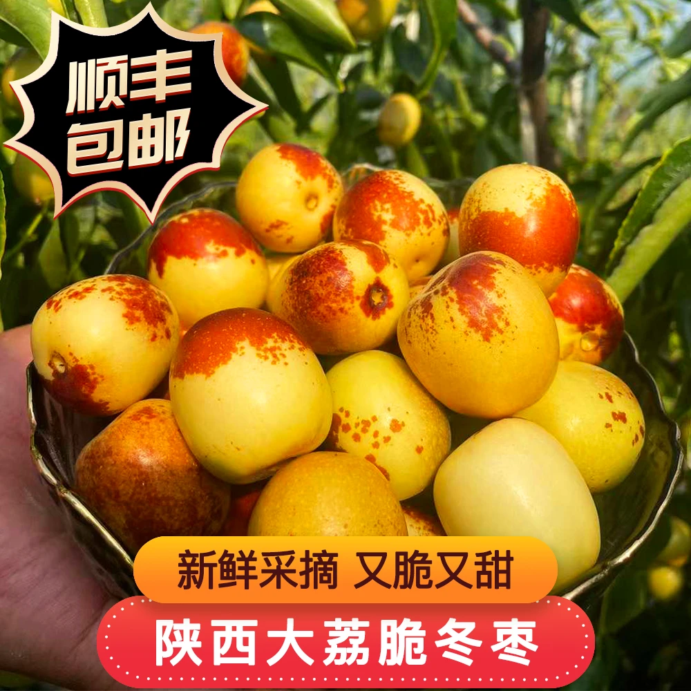 【顺丰包邮】陕西大荔现摘现发脆甜冬枣果园直发孕妇水果2/3斤装