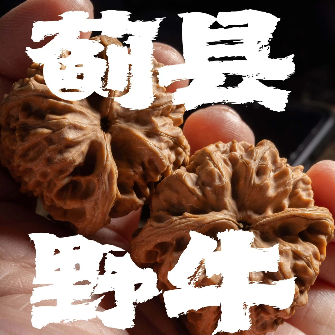 2025产季头货【蓟县野牛】 凹底大钝尖皮质好骨质硬密度高 文玩核桃